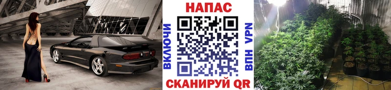 Каннабис SATIVA & INDICA  Вичуга 